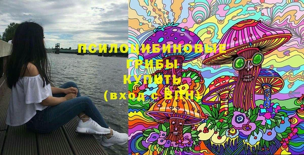 стафф Алексеевка