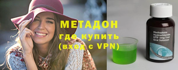 гашик Алексин