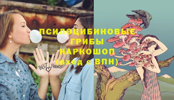 сатива Алзамай