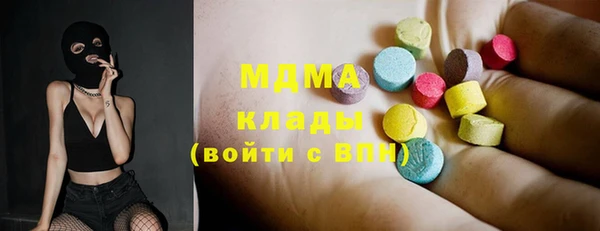 гашик Алексин