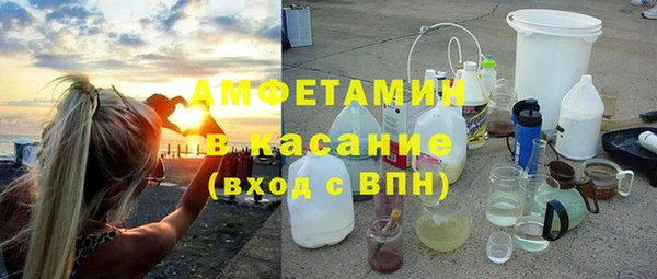гашик Алексин