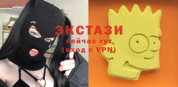 гашик Алексин
