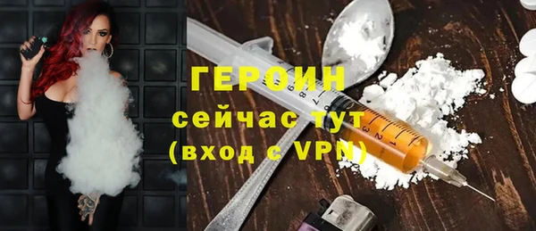 гашик Алексин