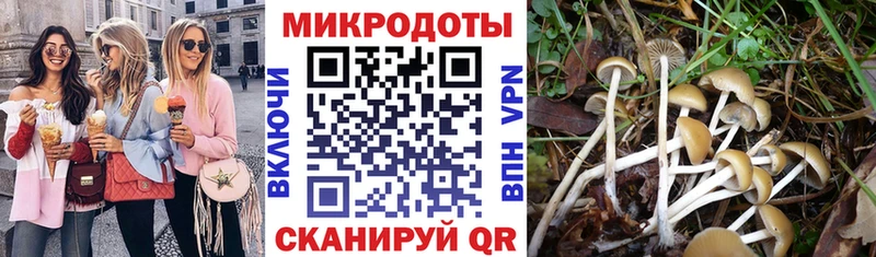 Псилоцибиновые грибы прущие грибы  продажа наркотиков  MEGA ссылки  Кадников 